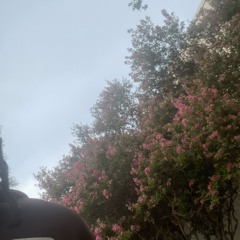 Copy me (kly x m21ercy)