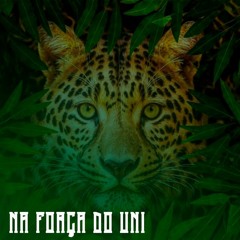 Mensageiro Beija Flor · Família Medicina · Clovis Ramos