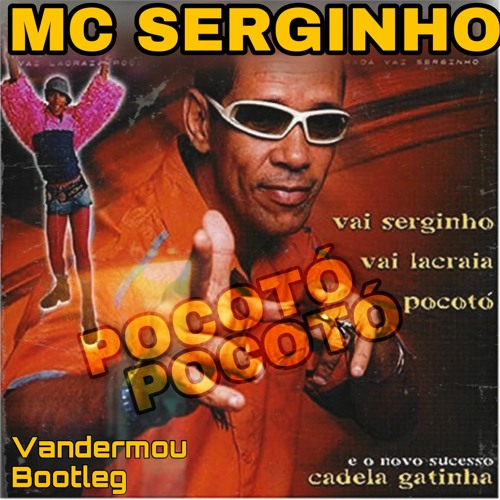MC Serginho - Pocotó (Vandermou Bootleg)