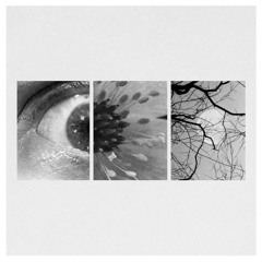 Remixes
