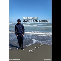 Man Delam Mikhad.mp3