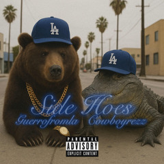 SIDE HOES FT. COWBOYREZZ