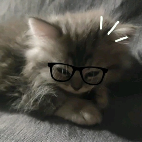 𝐒𝐓𝐊  え – 𝐌𝐎𝐍𝐓𝐀𝐆𝐄𝐌 𝐂𝐀𝐌𝐄𝐑𝐀 𝐋𝐄𝐍𝐓𝐀 (𝐒𝐋𝐎𝐖𝐄𝐃) • 𝐓𝐈𝐊𝐓𝐎𝐊 𝐄𝐃𝐈𝐓 𝐱 𝐘𝐨𝐨𝐧 𝐊𝐚𝐫𝐦𝐚 | 𝐏𝐥𝐚𝐲𝐭𝐡𝐢𝐧𝐠.mp3