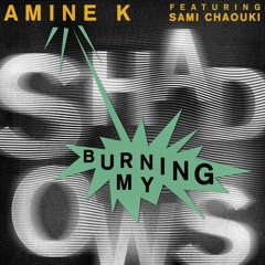 Premiere: Amine K - Burning My Shadows ft. Sami Chaouki [Get Physical]