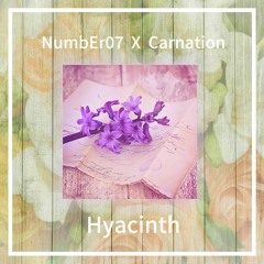 NumbEr07 X Carnation - Hyacinth