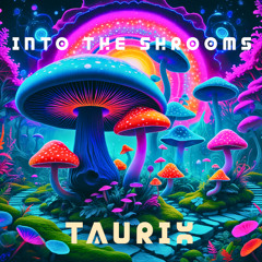 Into the Shrooms