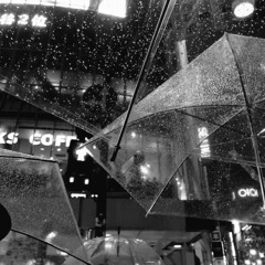 Lúc đắm đuối anh cho rằng tình ta như ánh trăng rằm