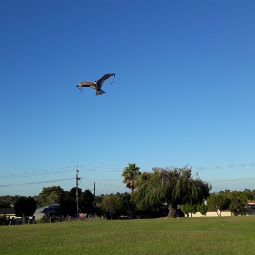 01 REC - 2024 - 11 - 16