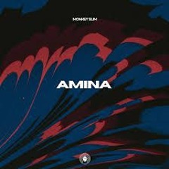 Monkey Slim  - Amina
