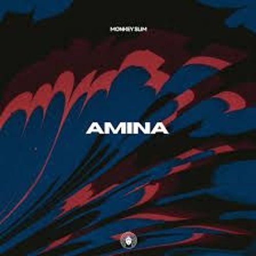 Monkey Slim  - Amina