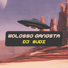 Wolosso Gangsta (DJ SUDI Blend)