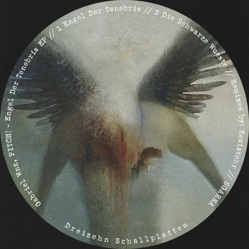 Gabriel Wnz, PITCH! - Die Schwarze Wueste (Original Mix)[Dreizehn Schallplatten] CUT