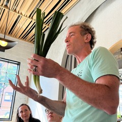 Episode 137: Markets, Chaos and Scoby Snax