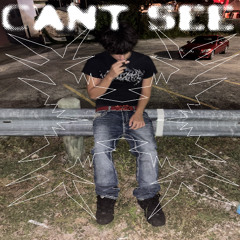 cant see (prod.yxvegas)