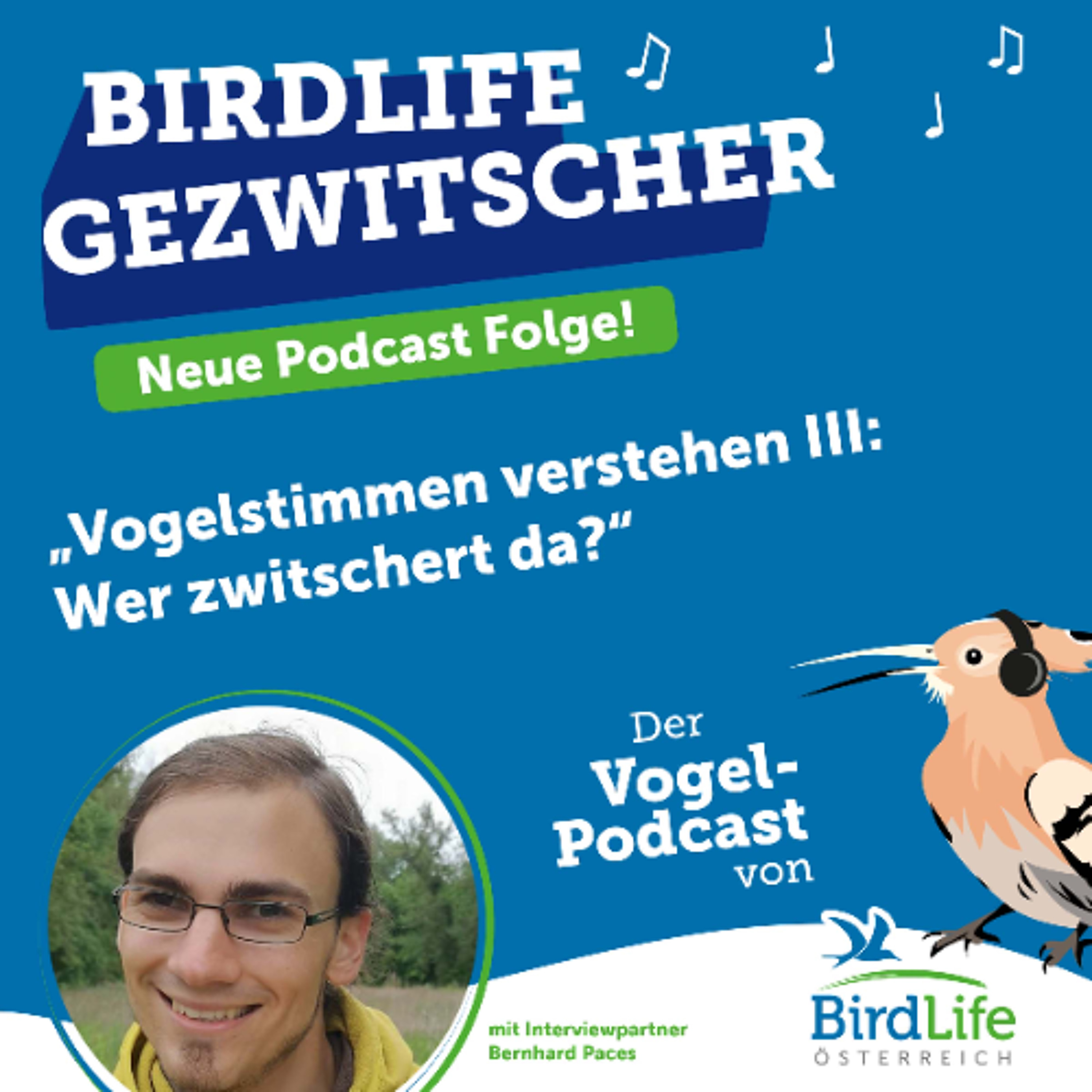 BirdLife Gezwitscher