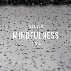 Mindfulness Episode 104