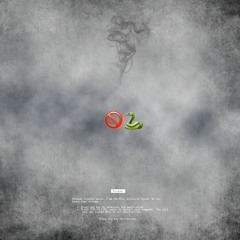 No $nakes (prod. Soulker)
