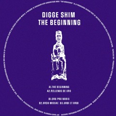 A1. The Beginning (Snippet)