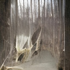 Ognyan Belstoynev / fal$e - 122