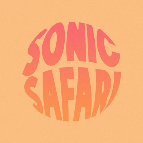 David Guetta & OneRepublic - I Don't Wanna Wait (Sonic Safari Remix)