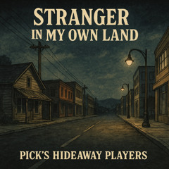 Stranger in My Own Land