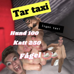 Tar Bolt (inte Taxi)