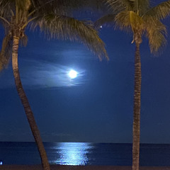 BLoWBeatz - Midnight Music ✨✨