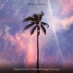 Where I Know (w/ Equanimous & Kumali)