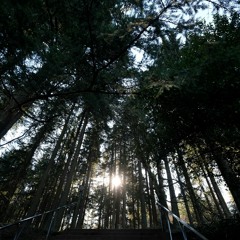 Tides Of Light - It's Bliss