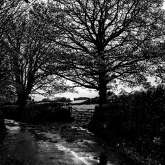 This is life - all of it