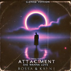 attachment (Slowed) (she wanna love)