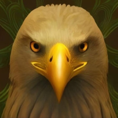 3agle Flow