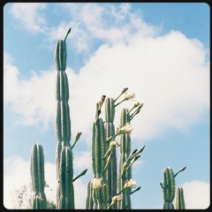 LIVE ON RADIO ALHARA