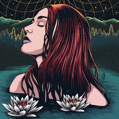 Into the Wild Guest Mix Series