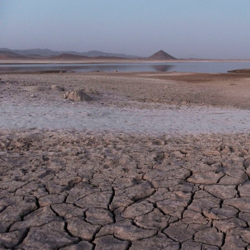 FAO Brief - 17 November 2023