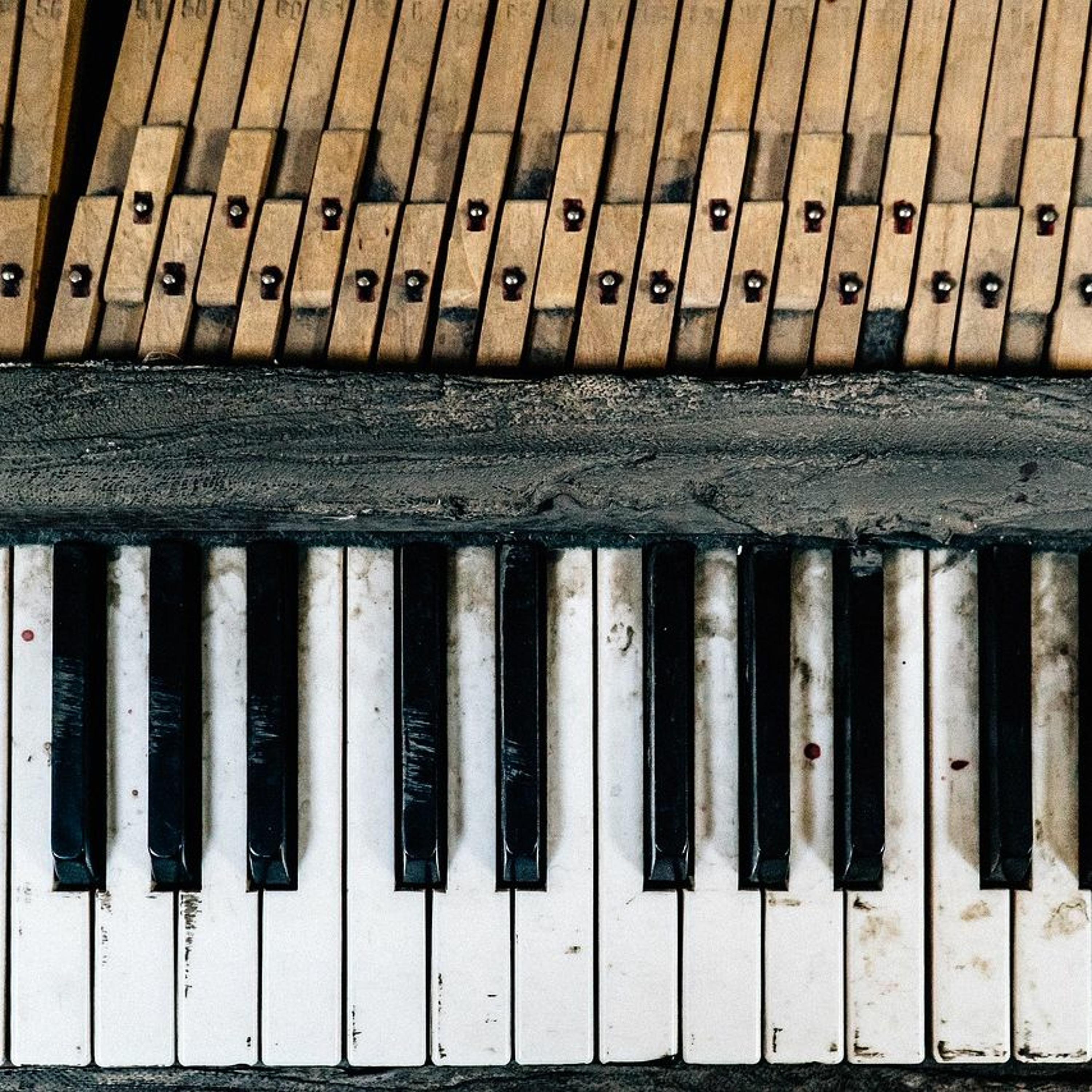 Walters Musik-Welt