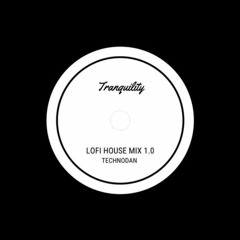 Tranquility | Lofi House Mix Vol. 1