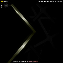 Federacto - You Can't Control (Original Mix)