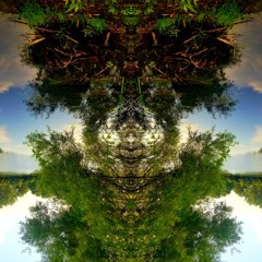 The waking soil