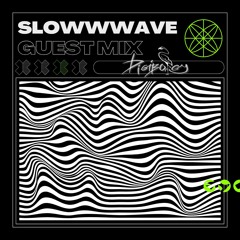 Digiborgy | Guest mix | SlowWwave #007