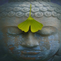 Chakra Healing: Unlocking Your Inner Power