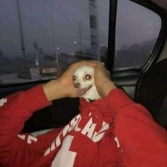 MOOD RESET / CALM SWING #1