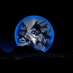 Liblikalend (extended)