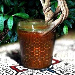Bendita Ayahuasca -  OLIMPIA