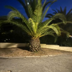 MIX GOUYADE ZOUK 2025 VOL2