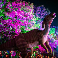 Lost Lands Fever