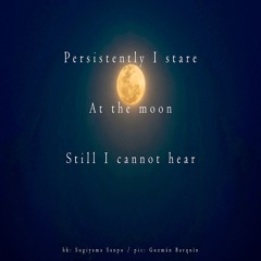 halF persistenT [naviarhaiku343]