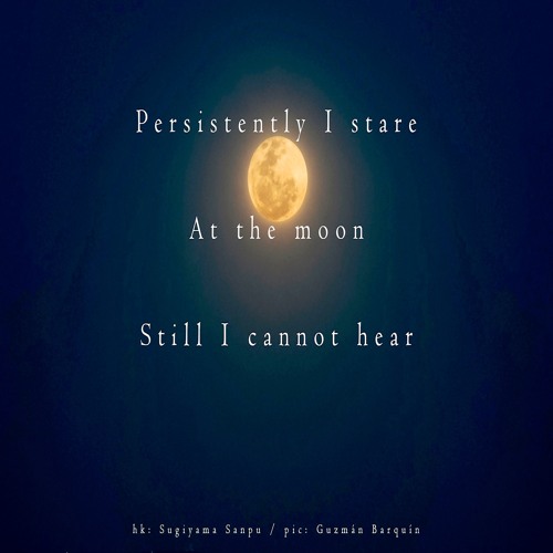 halF persistenT [naviarhaiku343]