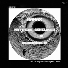 exclusive | M.S. - A Song About Feral Pigeons | Rawax