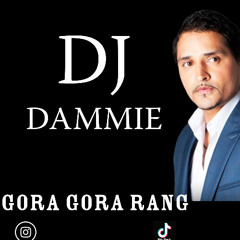 DJ Dammie | Gora Gora Rang House Mix | Jay Status